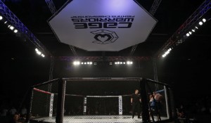 Bud Light and UFC Forge Historic Sponsorship Deal